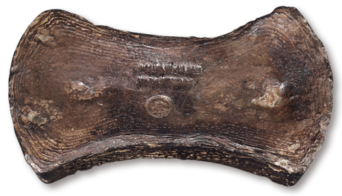 南宋“长街广平桥 南银铺刘宅”十两银铤一枚，另打“丙”字戳，重量：376.5克，原味包浆，品相极美，品种少见