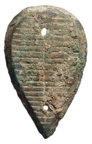 战国大型“鲁”贝一枚，尺寸：45×28毫米，保存完好，极美品