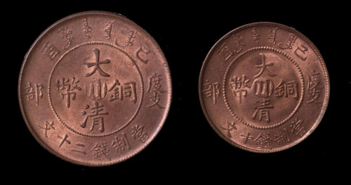 宣统年造己酉中心“川”字大清铜币二十文、十文各一枚（无图）