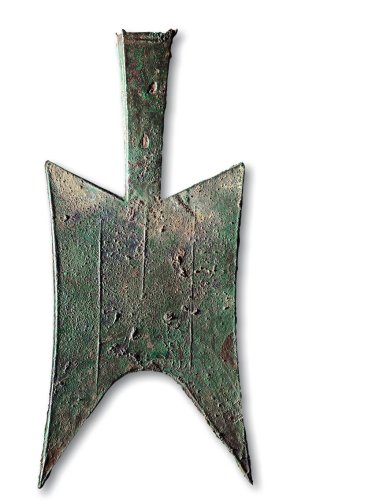 无文大型耸肩尖足空首布