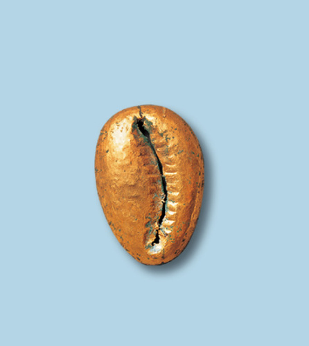 中型包金贝