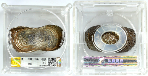 清代云南省5.5两银锭 华夏 锭 XF