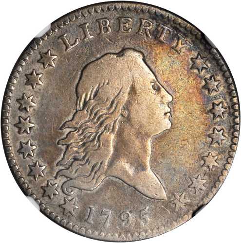 1795 Flowing Hair Half Dollar. O-110, T-21. Rarity-3. Two Leaves. Fine-12 (NGC).