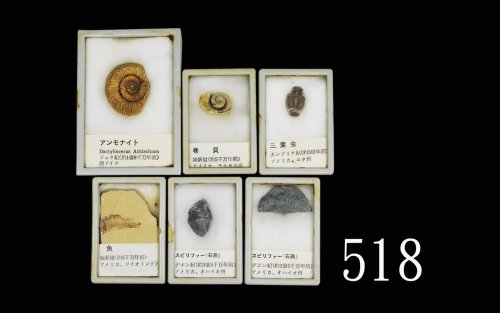 1970年代日本化石样本六件，带原盒1970s Japanese Fossil samples, 6pcs with orig cases. SOLD AS IS/NO RETURN.