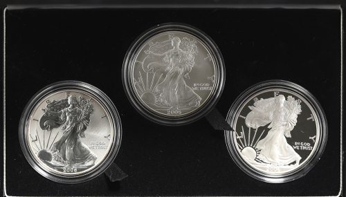 USA アメリカ合众国 American Eagle 20th Anniversary Silver Coin Set 2006  オリジナ儿ケース付 with original case UNC&P