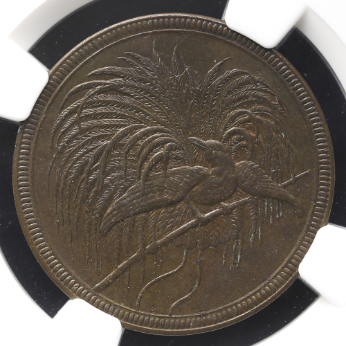 GERMAN NEW-GUINEA ドイツ领ニューギニア 10Pfennig 1894A NGC-MS62BN AU~UNC