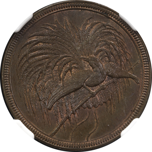 GERMAN NEW-GUINEA ドイツ领ニューギニア 10Pfennig 1894A  NGC-MS63BN UNC