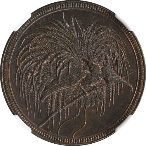 GERMAN NEW-GUINEA ドイツ领ニューギニア 10Pfennig 1894A  NGC-MS63BN UNC