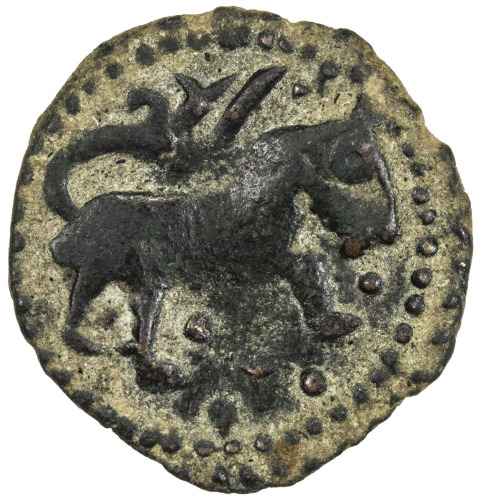 Islamic - Umayyad & Abbasid，UMAYYAD: AE fals (1.41g), NM, ND, A-Q206var, lion right, fancy tail, 4 p