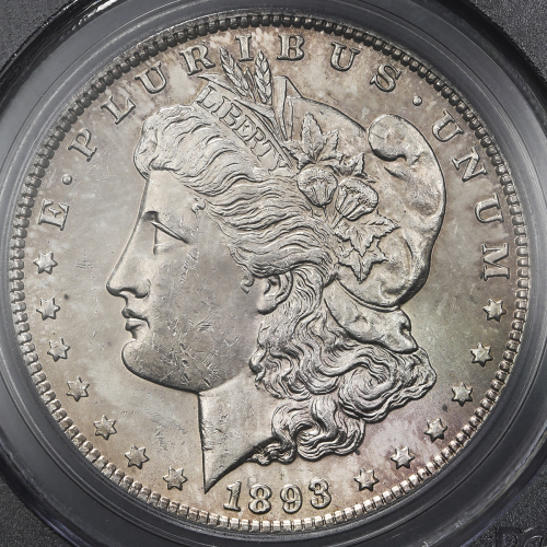 USA アメリカ合众国 Dollar 1893  PCGS-Genuine”Cleaned” 洗浄 EF