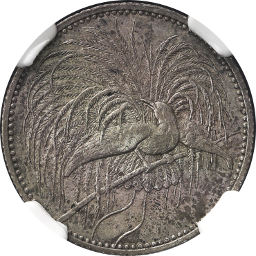 GERMAN NEW-GUINEA ドイツ领ニューギニア 1/2Mark 1894A  NGC-AU Details“Surface Hairlines“ 洗浄EF