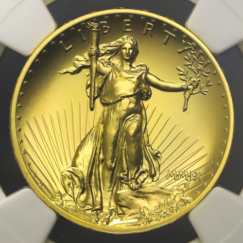 USA アメリカ合众国 20Dollars 2009 NGC-MS70 UNC