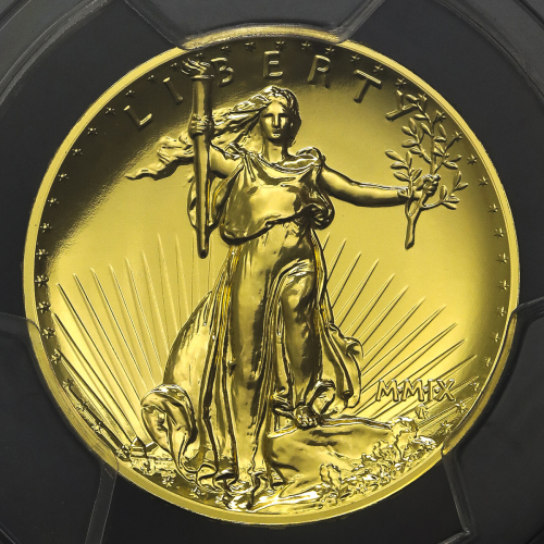 USA アメリカ合众国 20Dollars 2009 PCGS-MS70 プ儿ーフライク UNC