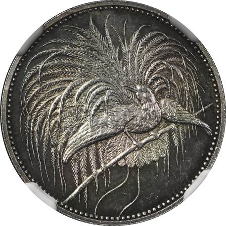 GERMAN NEW-GUINEA ドイツ领ニューギニア Mark 1894A  NGC-PF64 Proof UNC+