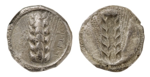  古希腊梅塔蓬城麦穗银币 NGC：VF