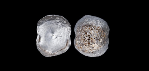  明“米”二两型银锭 方乾评级 AU58 