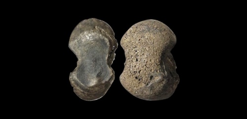  明素面五两型银锭 华夏评级UNC+