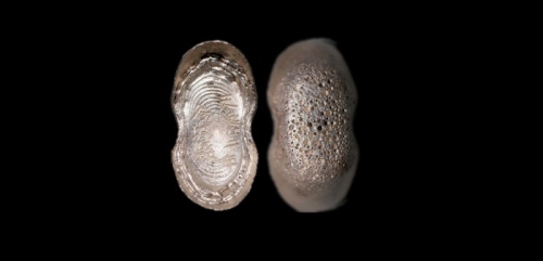  明“天启二年谷城县”十两型银锭 方乾评级 MS62+ 