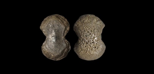  明素面五两型银锭 华夏评级UNC+