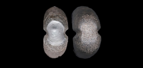  清素面高翅五十两银锭 方乾评级MS62 