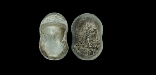  清“蔚州 光绪年 祥聚 福 义”五十两银锭  