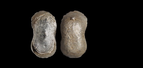  明素面五两型银锭 华夏评级AU