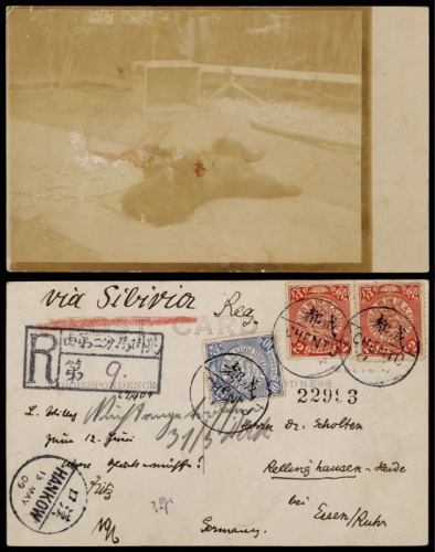  1909年四川成都寄德国挂号明信片，贴蟠龙2分两枚，10分一枚，计符邮资14分
