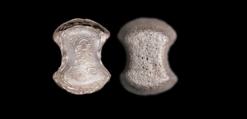  明“十年长兴完匠徐饷”十两型银锭 方乾评级 MS62 