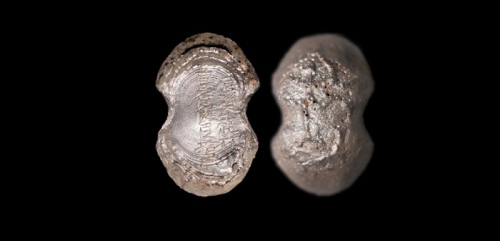  明“辰溪知县曹行健银拾两”银锭 方乾评级 MS62+ 