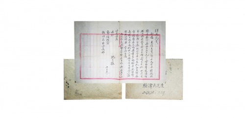  1961年沈子槎致骆泽民信札 