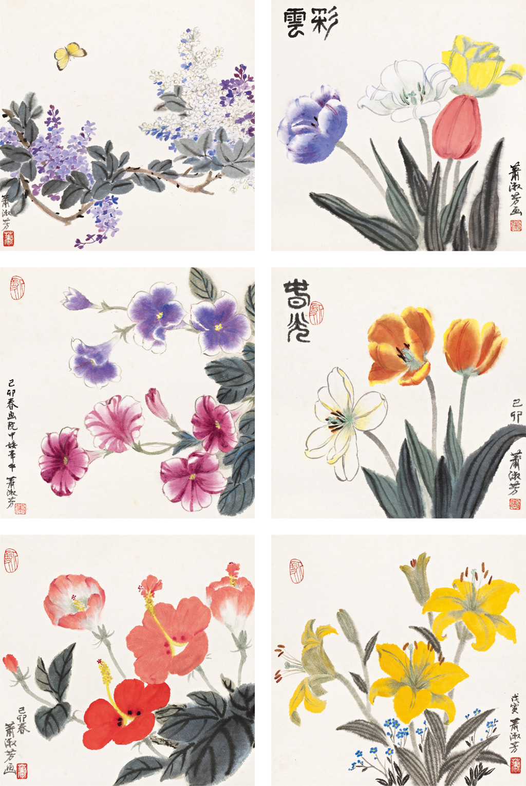 萧淑芳 春光花卉册  