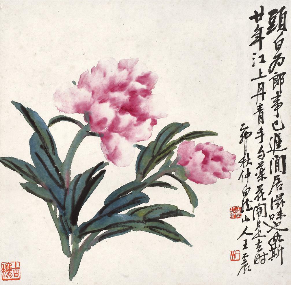 王震 芍药花开  