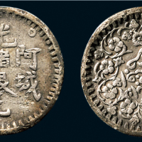 1894年新疆阿城光绪银元二钱（LM787）