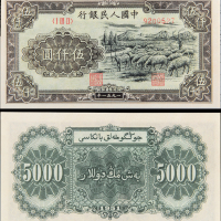 一版币伍仟圆牧羊 CNCS64