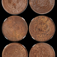 己酉大清二十文3枚NGC/PC63-64