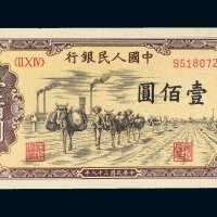 第一版人民币壹佰圆驮运