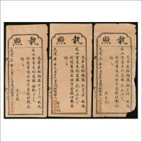 清代执照一组：天运庚戌年（1910年）、天运已酉年（1909年）槟榔城致公总堂执照各一枚