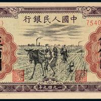一版币伍佰圆种地1枚