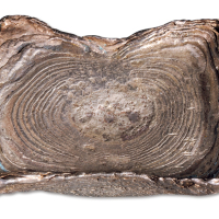 明代广西十两银锭一枚，重量：328.9克