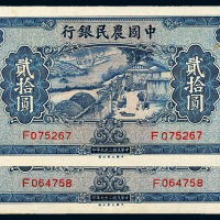 中国农民银行贰拾圆二枚