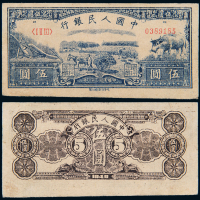 一版币伍圆水牛