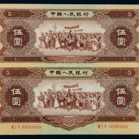 1956年第二版人民币伍圆星水印、海鸥水印各一枚