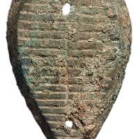 战国大型“鲁”贝一枚，尺寸：45×28毫米，保存完好，极美品
