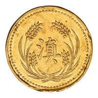 民国十六年云南“滇”字伍元金币一枚