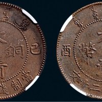 己酉（1909年）大清铜币二十文二枚