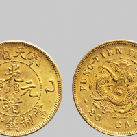 乙巳（1905年）奉天省造光绪元宝二十文铜币