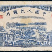 第一版人民币伍圆水牛