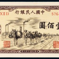 第一版人民币壹佰圆驮运