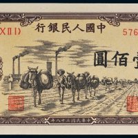 第一版人民币壹佰圆驮运