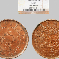 丁未（1907年）光绪年造大清铜币二十文